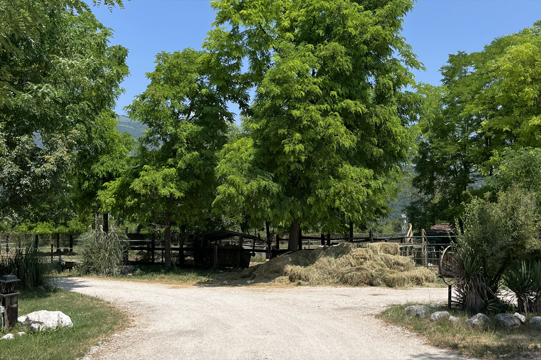Dove dormire a Pordenone
