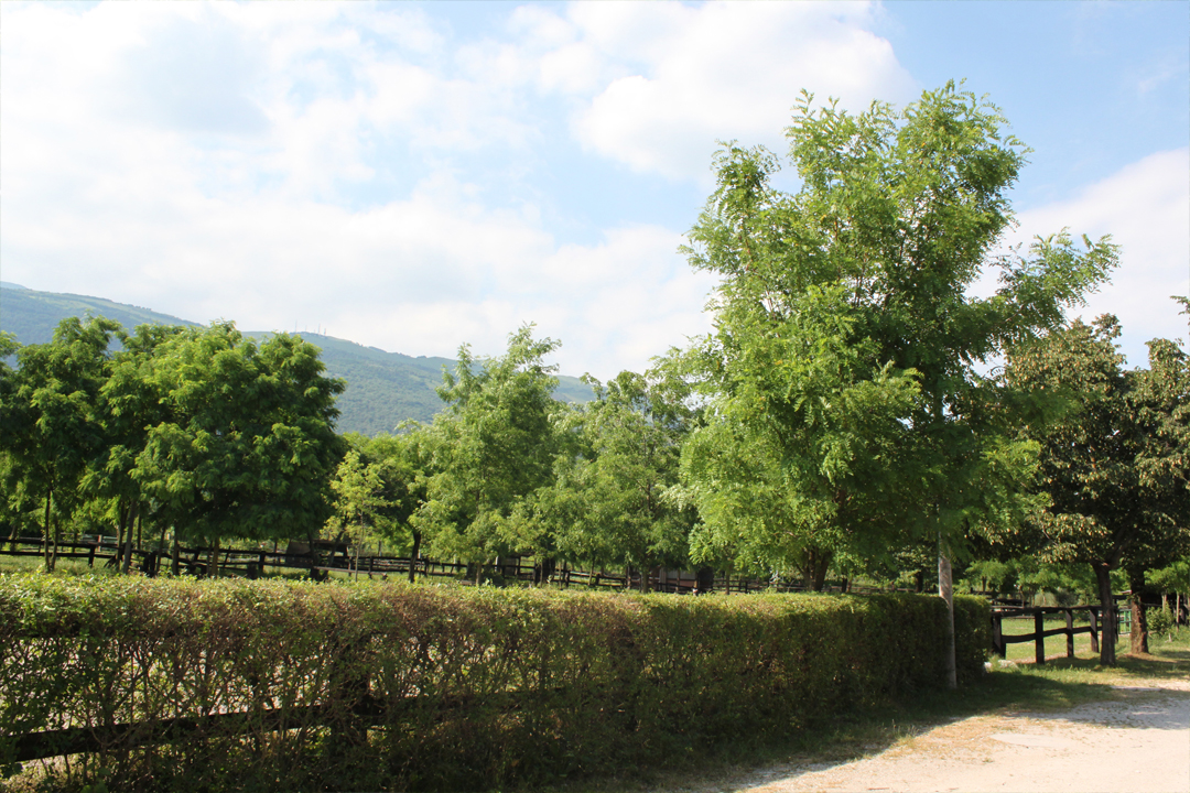 Dormire vicino Piancavallo Dormire vicino Piancavallo