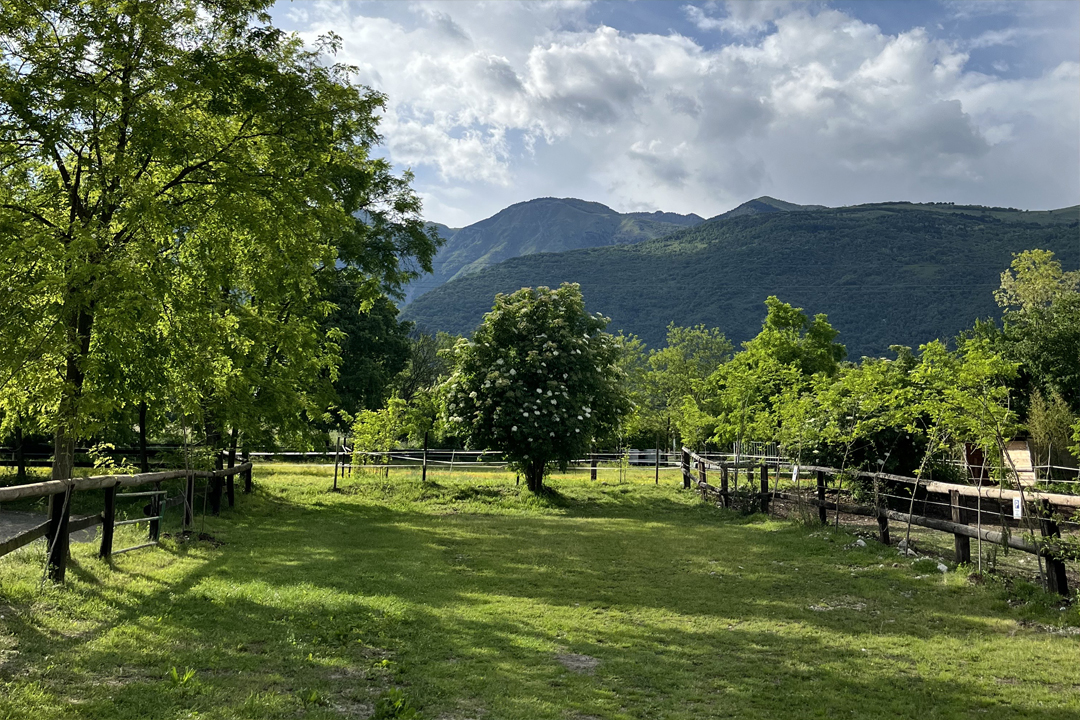 Camere rustiche Camere rustiche