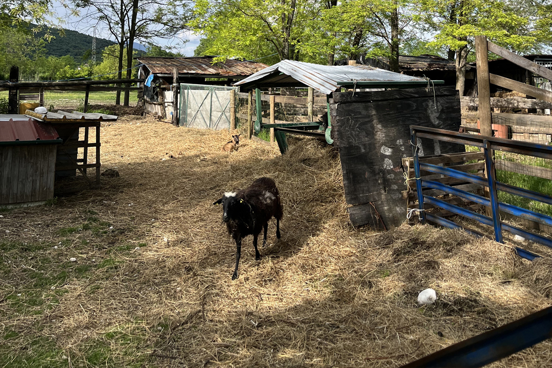 Eventi e Serate Speciali Eventi e Serate Speciali