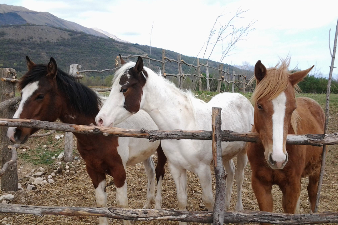 Piazzole per tende Piazzole per tende