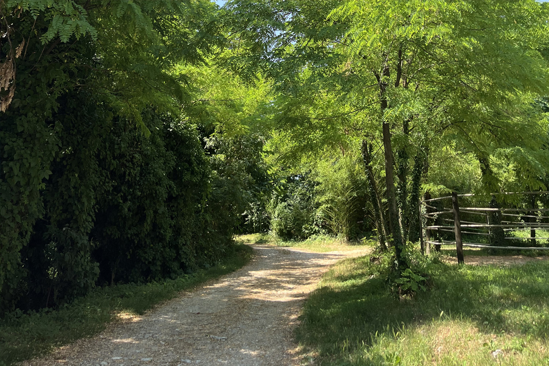 Piazzole per tende Piazzole per tende